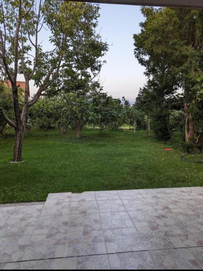 Apartment Filipovic พอดโกริกา ภายนอก รูปภาพ